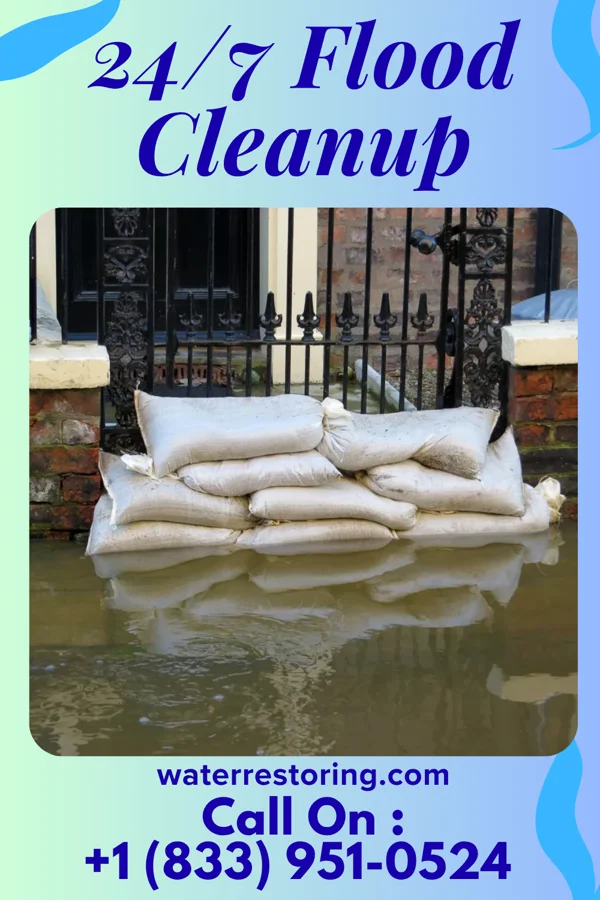 24/7 Flood Cleanup in Cadwell, GA