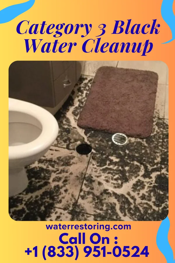 Category 3 Black Water Cleanup in Cadwell, GA
