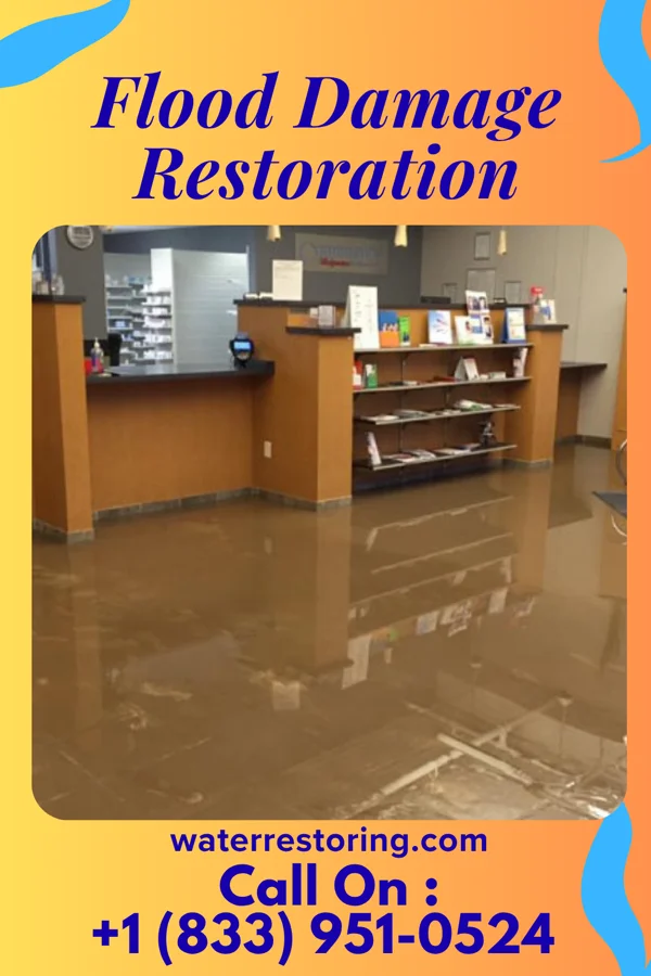 Flood Damage Restoration in Cadwell, GA