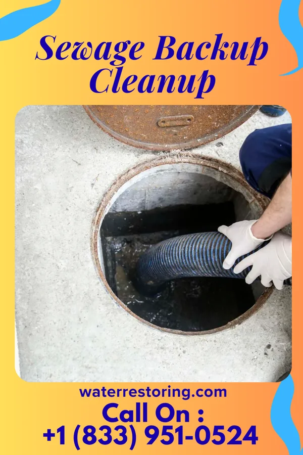Sewage Backup Cleanup in Cadwell, GA