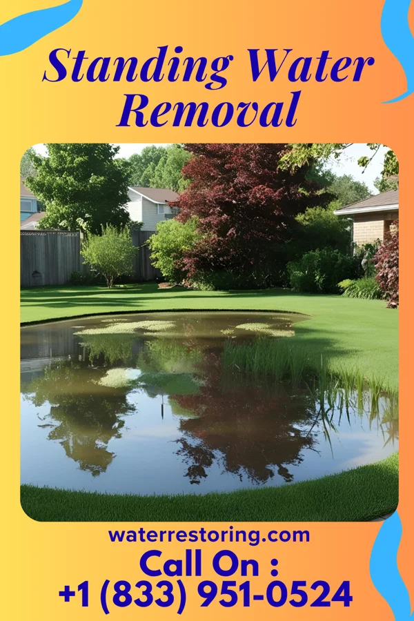 Standing Water Removal in Cadwell, GA